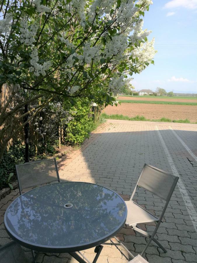 Le Cocon Appart Avec Parking Prive & Terrasse Sainte-Croix-en-Plaine Esterno foto